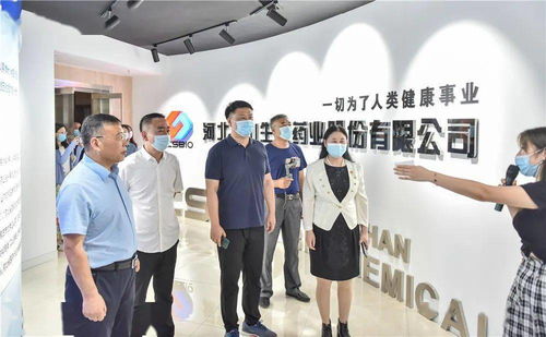v看石家庄 美丽省会行 网络主题宣传活动启动