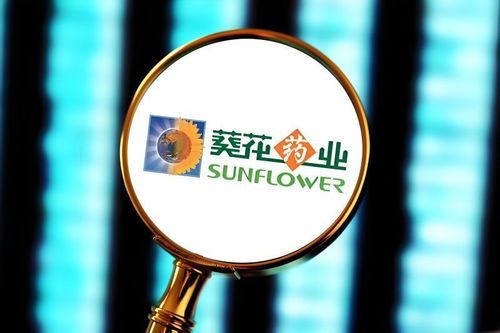 护肝片突破10亿元又完成香港申报, 葵花药业黄金单品战略能否持续扩容