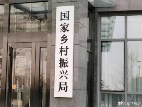 重磅预告,别错过了 早安,中山