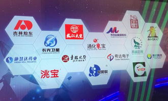 吉林敖东延边药业股份 世人健康 敖东的职责