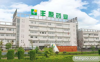 丰原品牌 品牌介绍